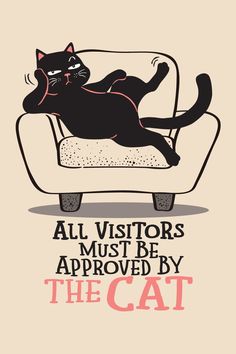 a black cat laying on top of a couch with the caption all visitors must be approved by the cat