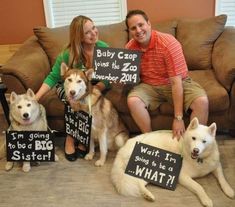 a man and woman sitting on a couch with two dogs holding signs in front of them