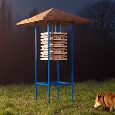 a dog laying in the grass next to a wooden structure with dominos on it