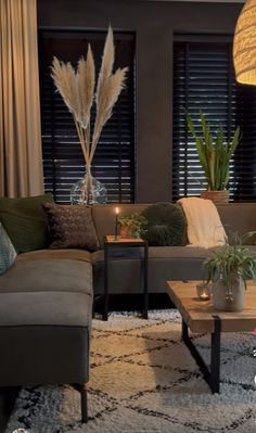 a living room filled with furniture and a large window covered in shades of blue, brown, and white