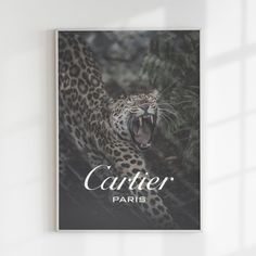 a book with an image of a leopard in the middle of it's mouth