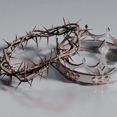 a crown of thorns is laying on the ground