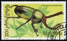 a postage stamp with an image of a beetle