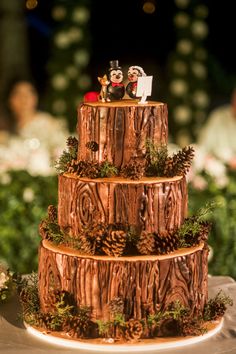 a three tiered cake with pine cones on top