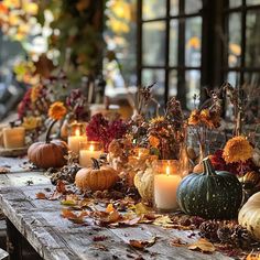 Massive Collection of Fall Decorations Thanksgiving Illustrations Thanksgiving Store Displays, Thanksgiving Ambience, Thanksgiving Landscape Wallpaper, Thanksgiving Centerpiece Jar With Fall Accessories, Autumn Nature Table, Cozy Decor Ideas, Fall Living Room Ideas, Warm Color Palettes, Fall Coffee Table Decor