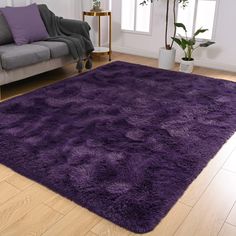 a living room with a couch and purple rug