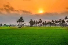 the sun is setting behind palm trees in an open field