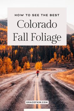 a road with the words how to see the best colorado fall foliage