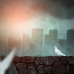 a white bird sitting on top of a stone wall next to a cityscape