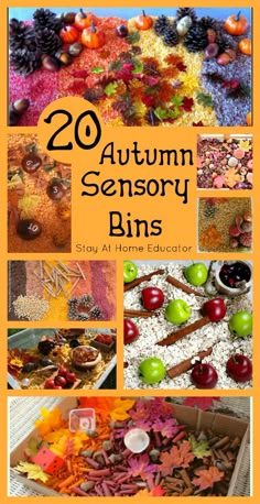 the cover of an autumn activity book with pictures of leaves, apples and other items