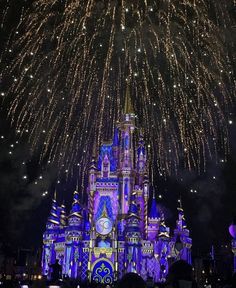 the castle is lit up at night with fireworks