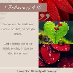 a red flower with two hearts on it and the words i love godly affirmans