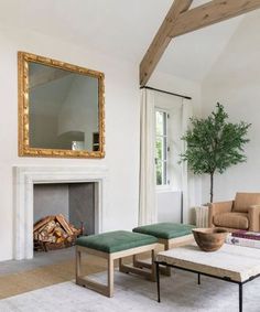 a living room filled with furniture and a fire place in front of a mirror on the wall