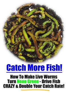 the cover of catch more fish how to make live worms turn green, drive fish crazy & double your catch rate