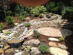 a garden with rocks, water and plants in the center is shown through a fish eye lens