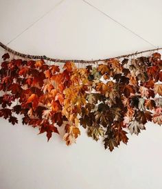 an arrangement of autumn leaves hanging on a wall