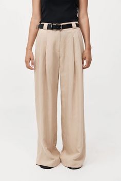 Wide Leg Pleat Pants | Dune