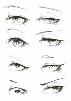 an image of different types of eyes in the style of pencils on white paper