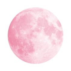 the full pink moon is shown against a white background