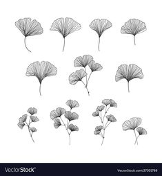 set of hand drawn flowers on white background