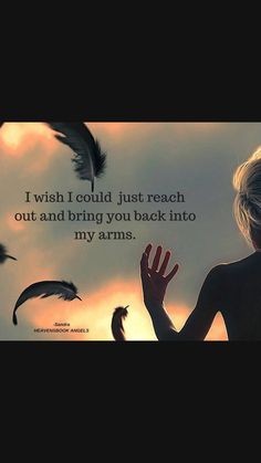 a woman standing in front of a sky with birds flying around her and the words, i wish i could, just reach out and bring you back into my arms