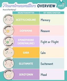 the different types of neurotransities in their body and how they are used