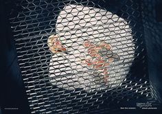 a person in a cage looking through the bars