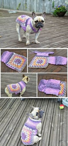 a small dog is wearing a crocheted sweater and standing on a wooden deck