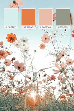 the color scheme is peach, grey and white with some orange flowers in front of it