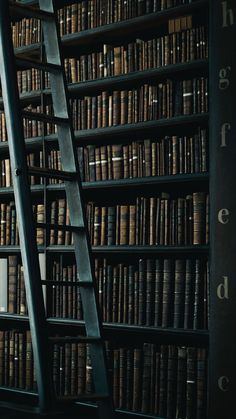 a ladder leaning up against a bookshelf filled with lots of books