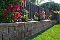 a stone wall with flowers growing on it