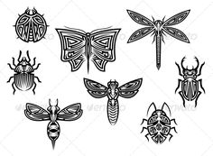 six different bugs and insects drawn in black ink on white paper - stock photo - images