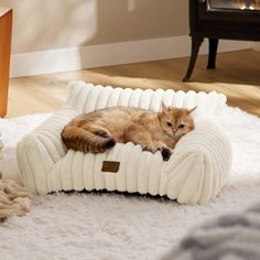 a cat laying on top of a white bed in the middle of a living room