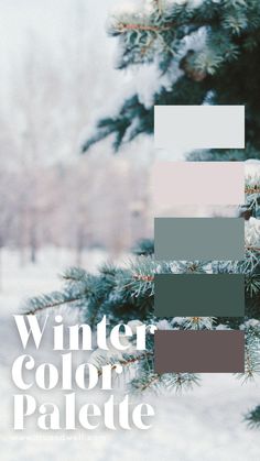 the cover of winter color palette is shown in shades of grey, white and green