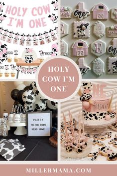 a cow themed birthday party with pink and black decorations