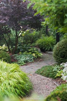 a garden with lots of plants and trees in it's center area, along with a stone path