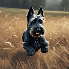 a painting of a dog running through a field with tall grass in the foreground