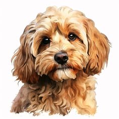 a close up of a dog's face on a white background with watercolors