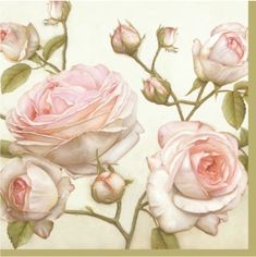 three pink roses on a white background with green leaves and stems in the center, surrounded by buds