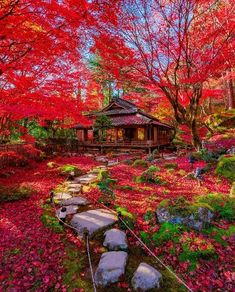 a small wooden house surrounded by trees with red leaves on the ground and rocks in front of it