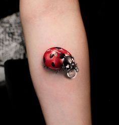 a ladybug tattoo on the arm with a black and white cat under it