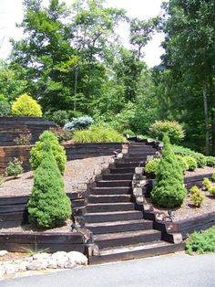 a set of steps leading up to the top of a hill with trees in the background