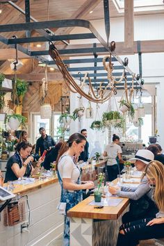 a group of people sitting at a table in a room with plants hanging from the ceiling