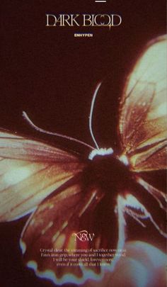 a book cover with a butterfly on it's back and the words dark blood written in