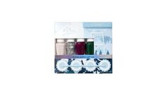 Essie Holiday Nail Polish Gift Set (4 ct) | CVS Holiday Nail Polish, Nail Polish Gift Set, Nail Polish Gift, Holiday Nail, Holiday Nails, Beauty Nails, Essie, Gift Set, Nail Polish