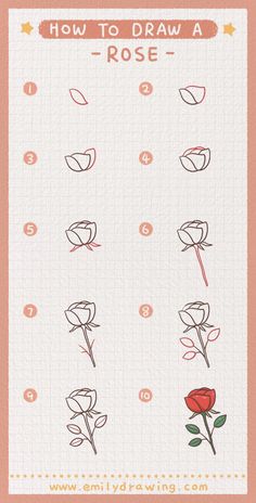 Learn How to Draw a Rose in This Step by Step Tutorial How To Draw A Rose Step By Step Simple, Flower Drawing Simple Step By Step, How To Draw Flowers Step By Step Simple, Easy Doodles Drawings Step By Step, Draw Rose Step By Step, How To Draw Things, Trin For Trin Tegning, Drawing Hacks