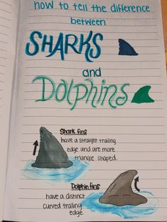 an open book with sharks and dolphins on it