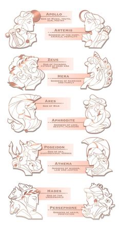 an info sheet showing the various stages of animation