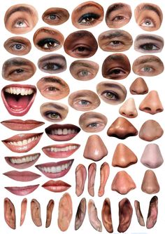 an assortment of different types of teeth and mouth shapes, including the upper half of one person's face