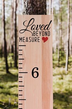 a wooden ruler with the words loved beyond measure on it in front of a tree